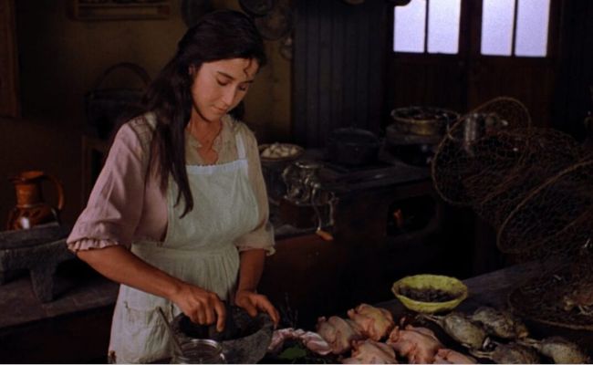 CODORNICES COMO AGUA PARA CHOCOLATE (4)